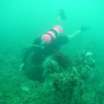 P7072695 P7072695