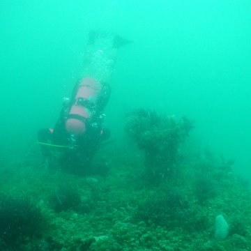 P7072696 P7072696