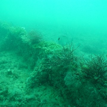 P7072700 P7072700