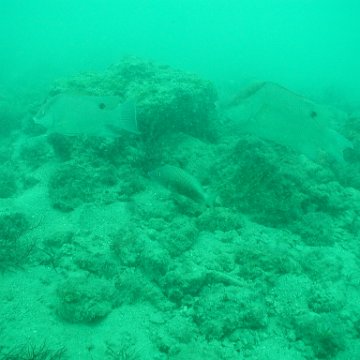 P7072703 P7072703
