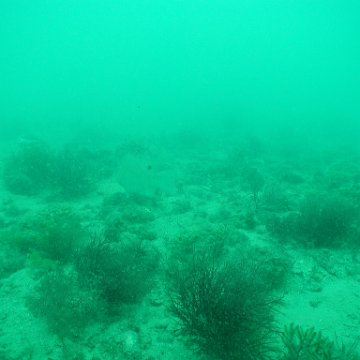 P7072704 P7072704