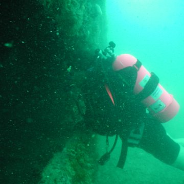 P7072708 P7072708