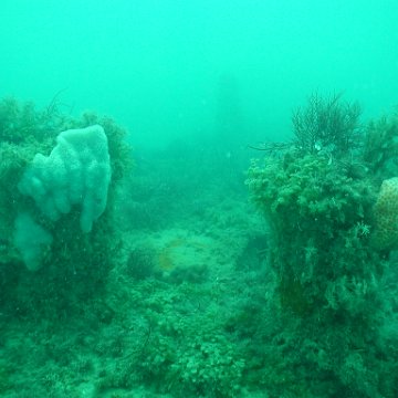 P7072710 P7072710
