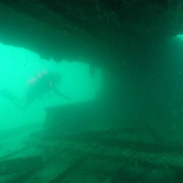 P7072715 P7072715