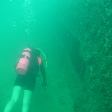 P7072721 P7072721