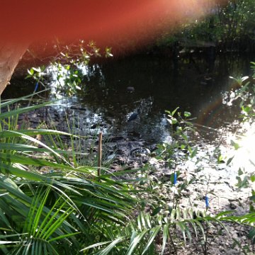 IMG_0587 IMG_0587