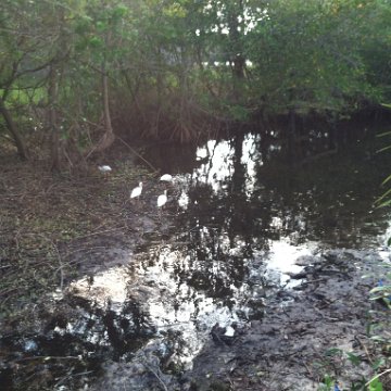 IMG_0590 IMG_0590