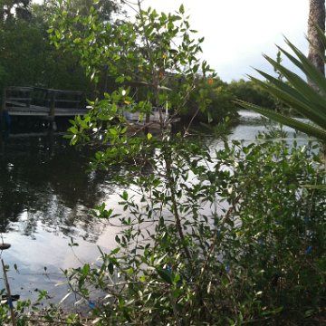 IMG_0598 IMG_0598