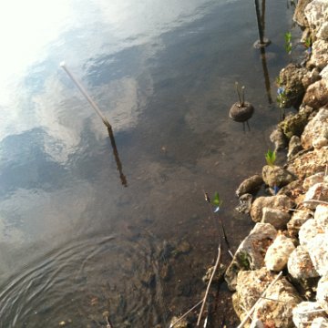 IMG_0600 IMG_0600