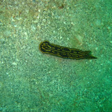 IMG_4778 IMG_4778