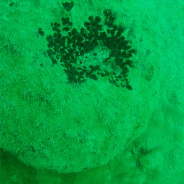 IMG_4783 IMG_4783