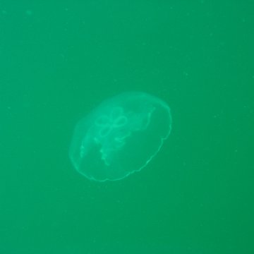 IMG_4784 IMG_4784