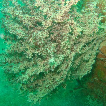 IMG_4786 IMG_4786
