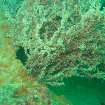 IMG_4789 IMG_4789