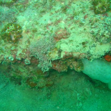 IMG_4790 IMG_4790
