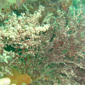 IMG_4793 IMG_4793