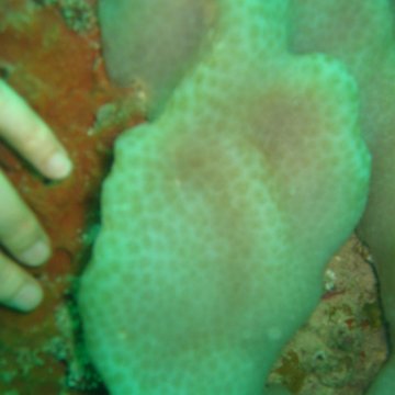 IMG_4796 IMG_4796