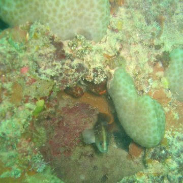 IMG_4798 IMG_4798