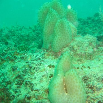IMG_4800 IMG_4800