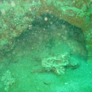 IMG_4803 IMG_4803