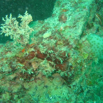 IMG_4810 IMG_4810