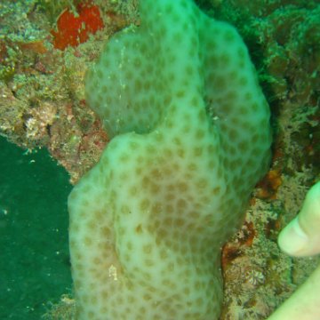 IMG_4811 IMG_4811