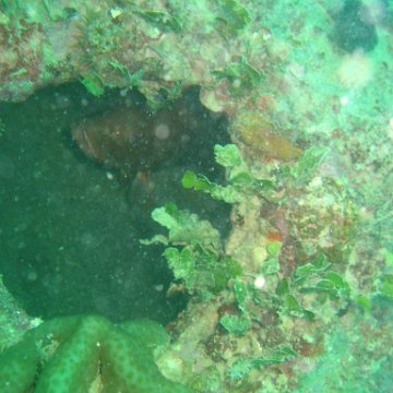 IMG_4816 IMG_4816