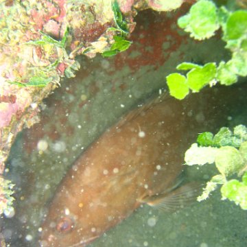 IMG_4818 IMG_4818