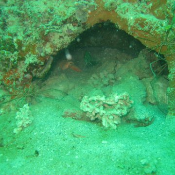 IMG_4831 IMG_4831