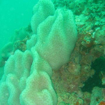 IMG_4836 IMG_4836