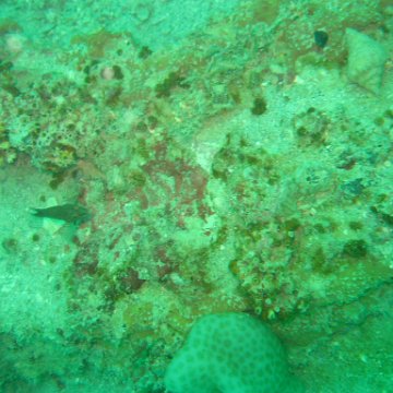 IMG_4839 IMG_4839