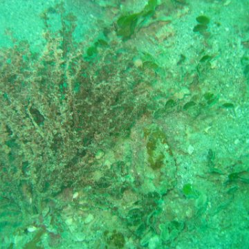 IMG_4840 IMG_4840