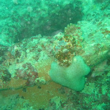 IMG_4842 IMG_4842