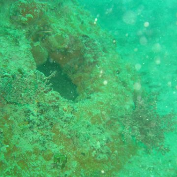 IMG_4843 IMG_4843