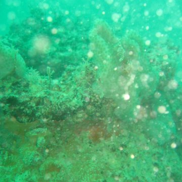 IMG_4845 IMG_4845