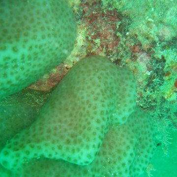 IMG_4853 IMG_4853