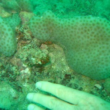 IMG_4856 IMG_4856