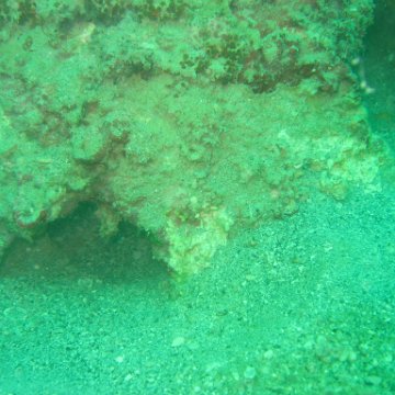 IMG_4860 IMG_4860