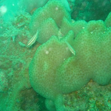 IMG_4868 IMG_4868