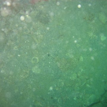 IMG_4870 IMG_4870