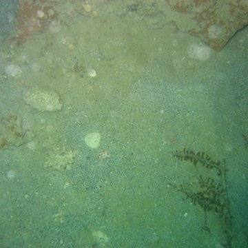 IMG_4871 IMG_4871