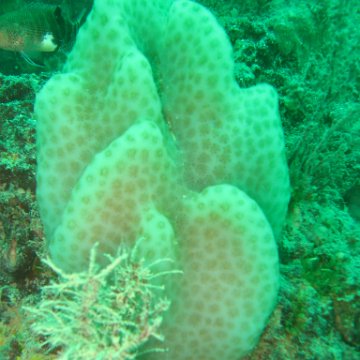 IMG_4874 IMG_4874