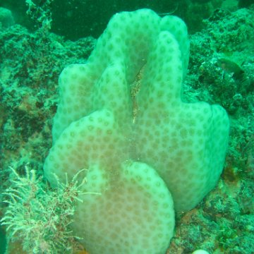 IMG_4875 IMG_4875