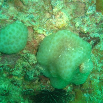 IMG_4876 IMG_4876