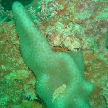 IMG_4880 IMG_4880