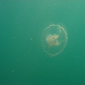 IMG_4883 IMG_4883