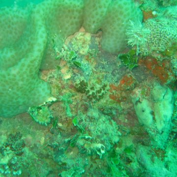 IMG_4885 IMG_4885