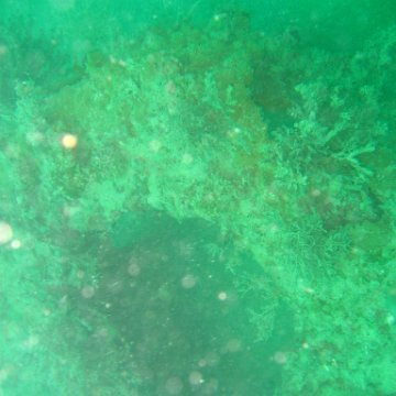 IMG_4887 IMG_4887