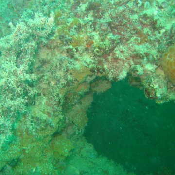 IMG_4890 IMG_4890