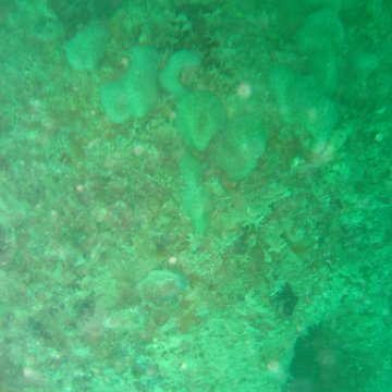 IMG_4891 IMG_4891